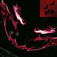 P.o.t.u.g - PLAUDO