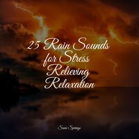 Rainforest Rains - Sleep Sounds Of Nature & The Relaxing Sounds of Water & Entspannungsmusik Oase