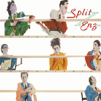 Parrot Fashion Love - Split Enz
