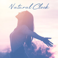 Piano & Nature - Nature Meditation Academy & Relieving Stress Music Collection