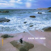 Ease My Mind - T Sleek