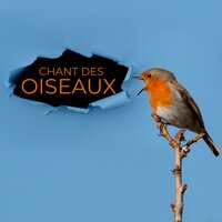 Dans l'esprit - Musique pour Détendre en Temps Libre