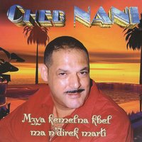 Mzya kemelna kbel ma n'direk marti - Cheb Nani