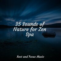 Grace Under Pressure - Relaxing Mindfulness Meditation Relaxation Maestro & Study Power & Massage