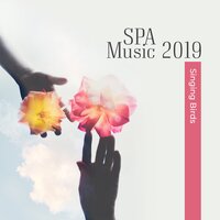 Inner Harmony - Relaxing Spa Music Zone