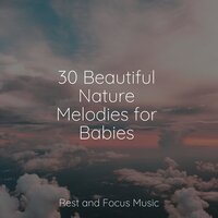 Breath of the Wind - Guided Meditation & Relaxing Nature Music & Massagem Coleção de Músicas