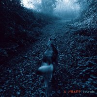 Ation - A Shape