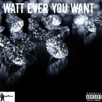 Watt Ever You Want - Sondro Castro & Ghandi Quigs
