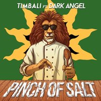 Pinch of Salt - Timbali & Dark Angel & Selecta J-Man