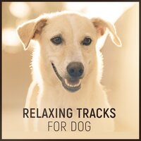 Anti Anxiety (Relaxing Nature Sounds) - Dog Music