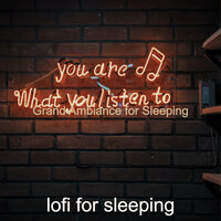 Ambience for Homework - lofi for sleeping