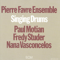 Beyond The Blue - Pierre Favre Ensemble