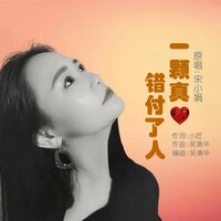 一颗真心错付了人 - 宋小娟