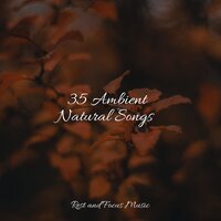 Mindful Melodies - Sleep Sounds Of Nature & Egyptian Meditation Temple & Serenity Spa Music Relaxation