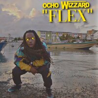Flex - Ocho Wizzard