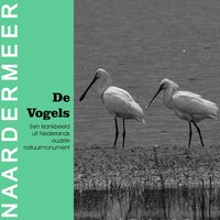 Wilde Eend - De Vogels