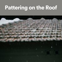 No Drought - Rainforest Sounds