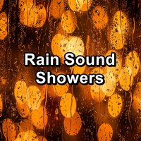 Calm Rain Droplets To Repeat for 24 Hours - The Rain Library & Heavy Rain Sounds & Rain Storm Sounds