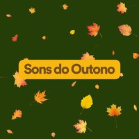 Folhas a Deriv - Musicoterapia