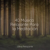 Rocas Sobre Hielo - Academia de Meditação Buddha & Canção de Ninar Bebê & Meditacion Budista Maestros