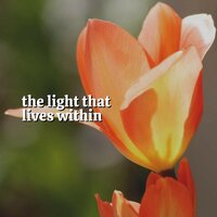 Eco Friendly Sounds - Soothing Music Academy