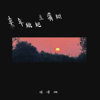 来年枇杷生满树 - 侯泽润 & 国会