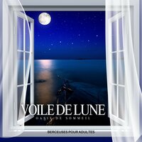 Repos Sous Les Étoiles - Oasis de Sommeil