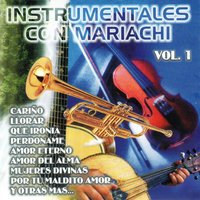 Te Acordarás de Mí - Los Poetas de la Guitarra
