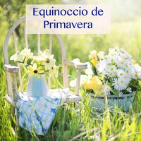 Primavera en el Jardín Zen - Naturaleza