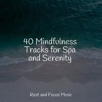 Lunar Eclipse - Academia de Meditação Buddha & Yoga Namaste & Entspannungsmusik Meer