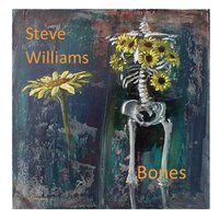 Rainbows Fall - Steve Williams
