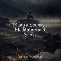 Flowing Dream - Yoga & Deep Sleep Systems & Kinderlieder Megastars