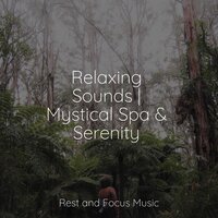 Tropical Sunset - Deep Sleep Relaxation & Deep Sleep Music Academy & Tonal Meditation Collective