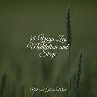 Relaxation Memories - Música de la Naturaleza & Sounds of Nature White Noise Sound Effects & Relax Meditation Sleep
