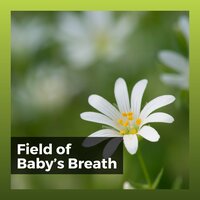 Baby Sleeping Music for Peaceful Dreaming, Pt. 49 - Baby Sleeping Music