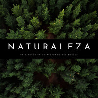 Lluvia Para Dormirse - Naturaleza Sonidos & Sonido Del Bosque y Naturaleza & Musica relajante con sonidos de la naturaleza