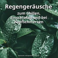Tiefenentspannung ohne Grenzen - Regensounds & Naturgeräusche & Schlafmusik