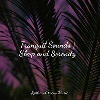 Gazing Skyward - Meditação Yoga & Relaxation Sleep Meditation & Amazing Spa Music