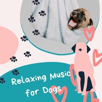 Relaxing Music for Dogs - Nature Sounds & Backgrounds