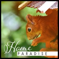 Mood Shift - Healing Power Natural Sounds Oasis
