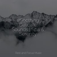 Tranquil Thoughts - Relaxed Minds & Baby Sleep Lullaby Academy & Sleep Sound Library