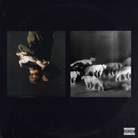 Welcome Back - Ocho Worldwide