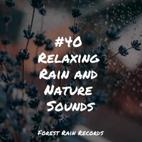 Lakeside, Birds, Lapping Water - SleepTherapy & Relaxamento & Sounds of Nature White Noise Sound Effects