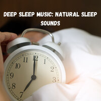 Friendly Music - Focus & Epic Soundscapes & Music for Sleep
