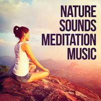 Sounds from the Sea 1: Sea Foam - Sounds of Nature White Noise for Mindfulness Meditation and Relaxation & Sleep Horizon Academy & Soothing Mind Music