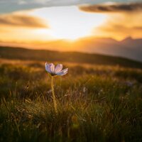 La Melodía Reconfortante - Sinfonía de la Tierra & Suave al aire libre & Poder de la naturaleza