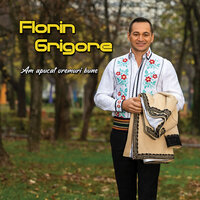Am Apucat Vremuri Bune - Florin Grigore