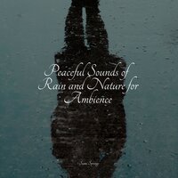 Trickling Rains into Drains - Restaurant Background Music & Rain Sounds For Sleep & Relaxation Personal Guru