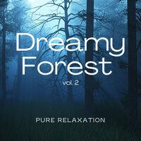 Get Ready for Relax with Unique Sounds of Forest pt. 4 - Forest Noir