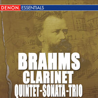 Sonata for Clarinet and Piano No. 2 in E-Flat Major, Op. 120: II. Allegro appassionato - Peter Grabinger & Jurgen Demmler & Иоганнес Брамс